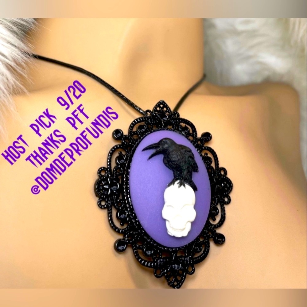 Black Ravin Skull Cameo Poe Inspired Choker Necklace Pendant Resin